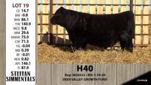 Lot #19 - H40