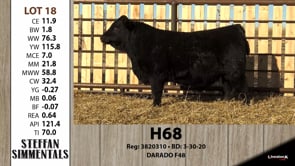 Lot #18 - H68
