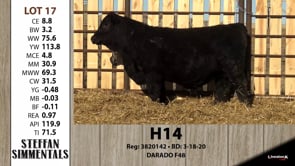 Lot #17 - H14