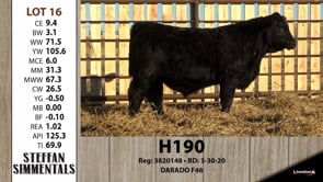 Lot #16 - H190
