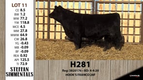 Lot #11 - H281