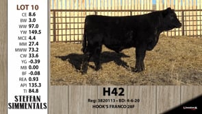 Lot #10 - H42