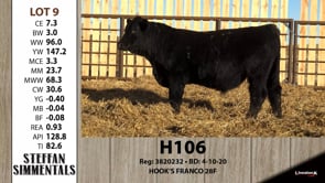Lot #9 - H106