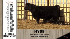 Lot #8 - HY09