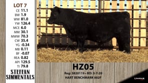 Lot #7 - HZ05