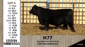 Lot #4 - H77