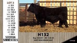 Lot #3 - H132