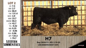 Lot #2 - H7