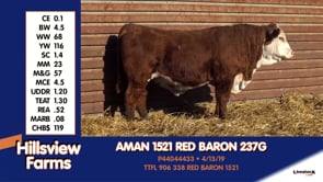Lot #237G - AMAN 1521 RED BARON 237G