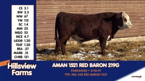 Lot #219G - AMAN 1521 RED BARON 219G