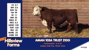 Lot #210G - AMAN 103A TRUST 210G