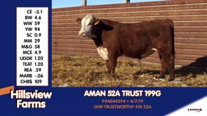 Lot #199G - AMAN 52A TRUST 199G