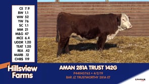 Lot #142G - AMAN 281A TRUST 142G