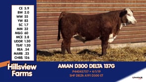 Lot #137G - AMAN D300 DELTA 137G