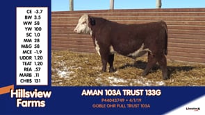 Lot #133G - AMAN 103A TRUST 133G