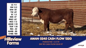 Lot #132G - AMAN 0245 CASH FLOW 132G
