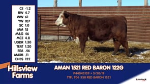 Lot #122G - AMAN 1521 RED BARON 122G