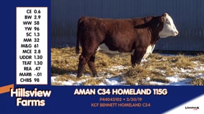 Lot #115G - AMAN C34 HOMELAND 115G