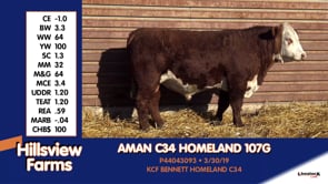 Lot #107G - AMAN C34 HOMELAND 107G