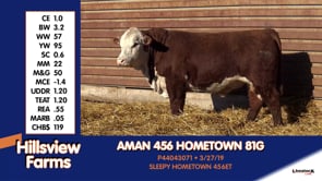 Lot #81G - AMAN 456 HOMETOWN 81G