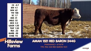 Lot #244G - AMAN 1521 RED BARON 244G