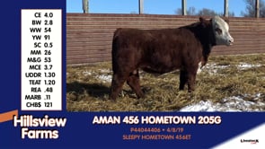 Lot #205G - AMAN 456 HOMETOWN 205G