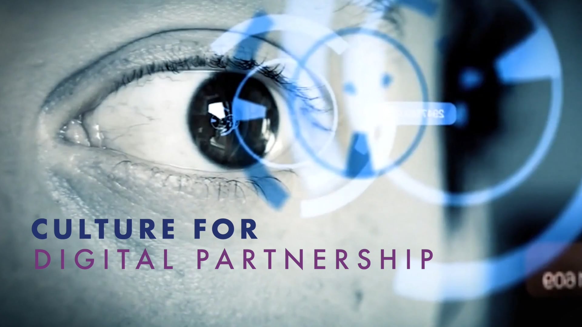 Culture for Digital partnership