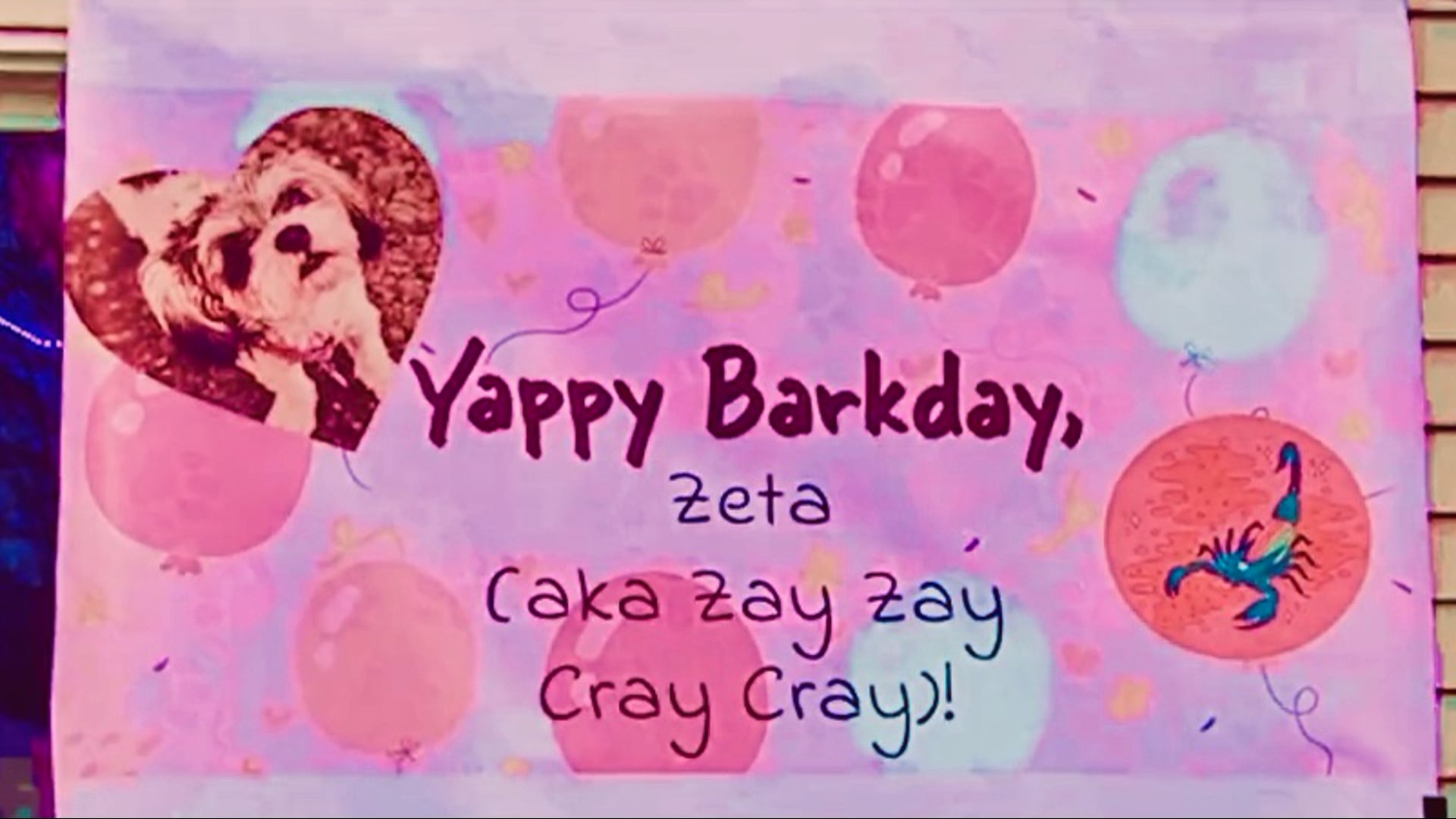 ‘[Pawty] Up’ Cray Barkday Style: To You, Zay Zay!