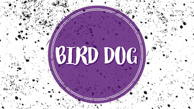 Bird dog