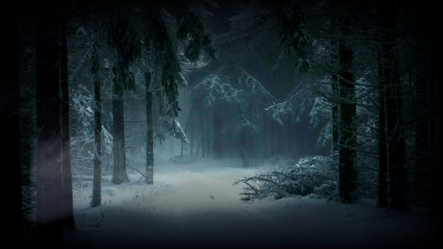 dark snowy forest background