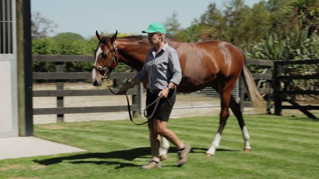 Lot 775
