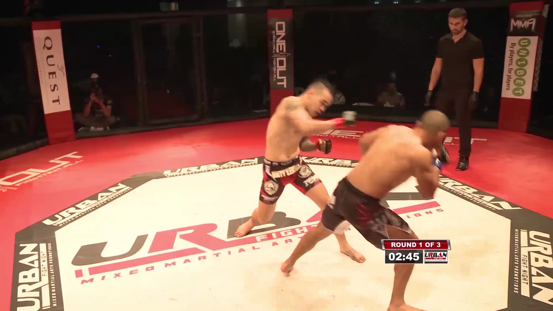Tuersun Yilizhati v Franz Sanchez