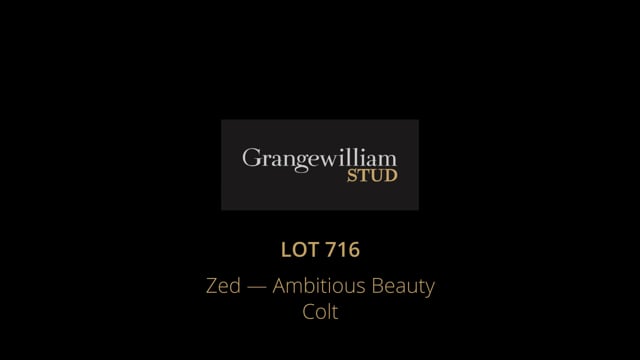 Lot 716
