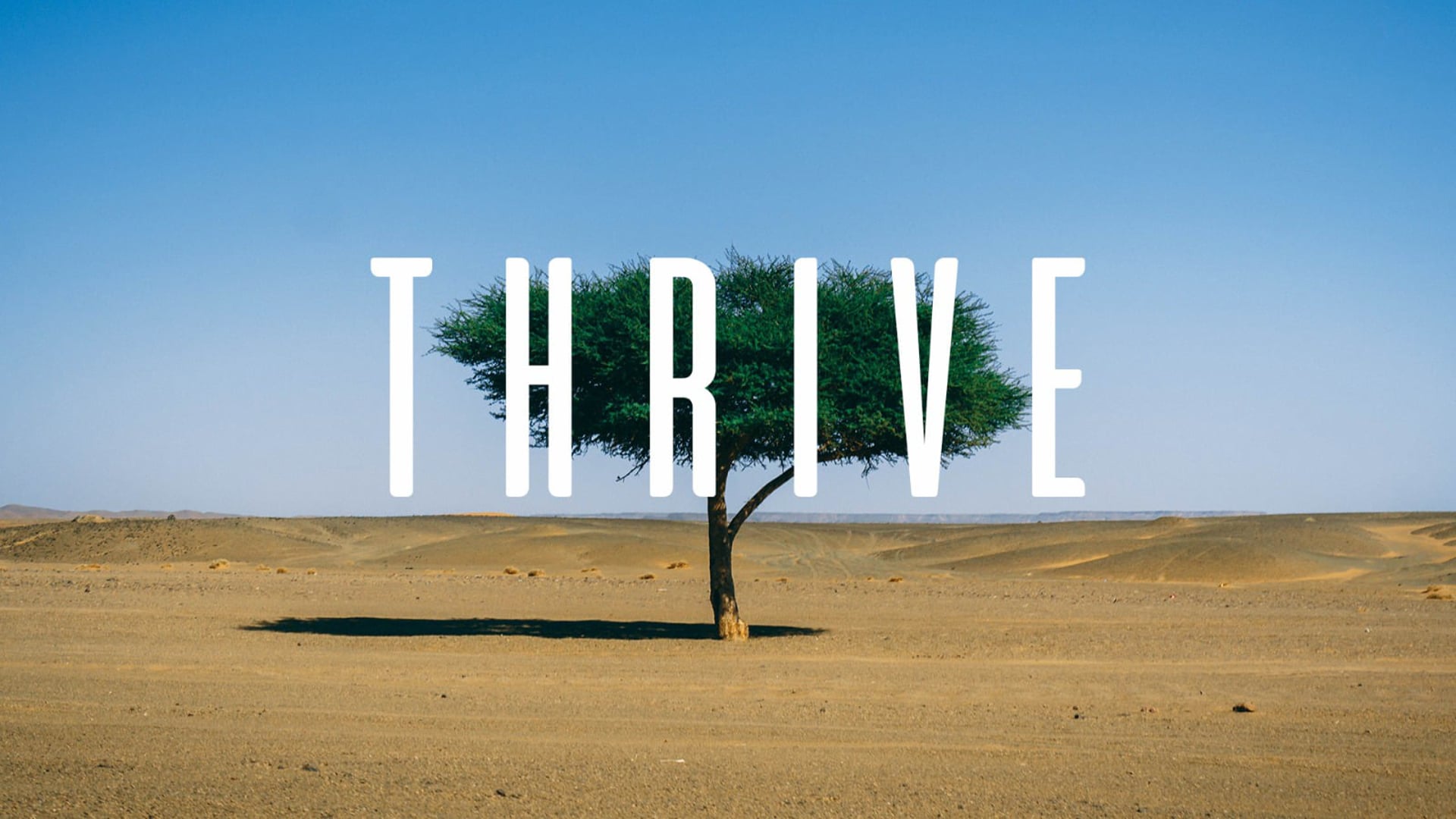 Thrive 2021