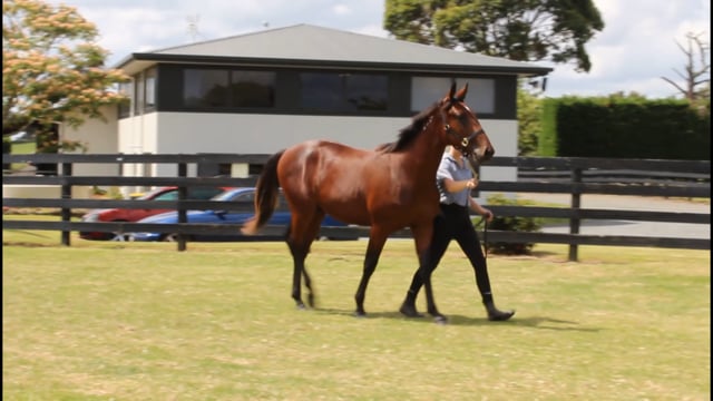 Lot 114