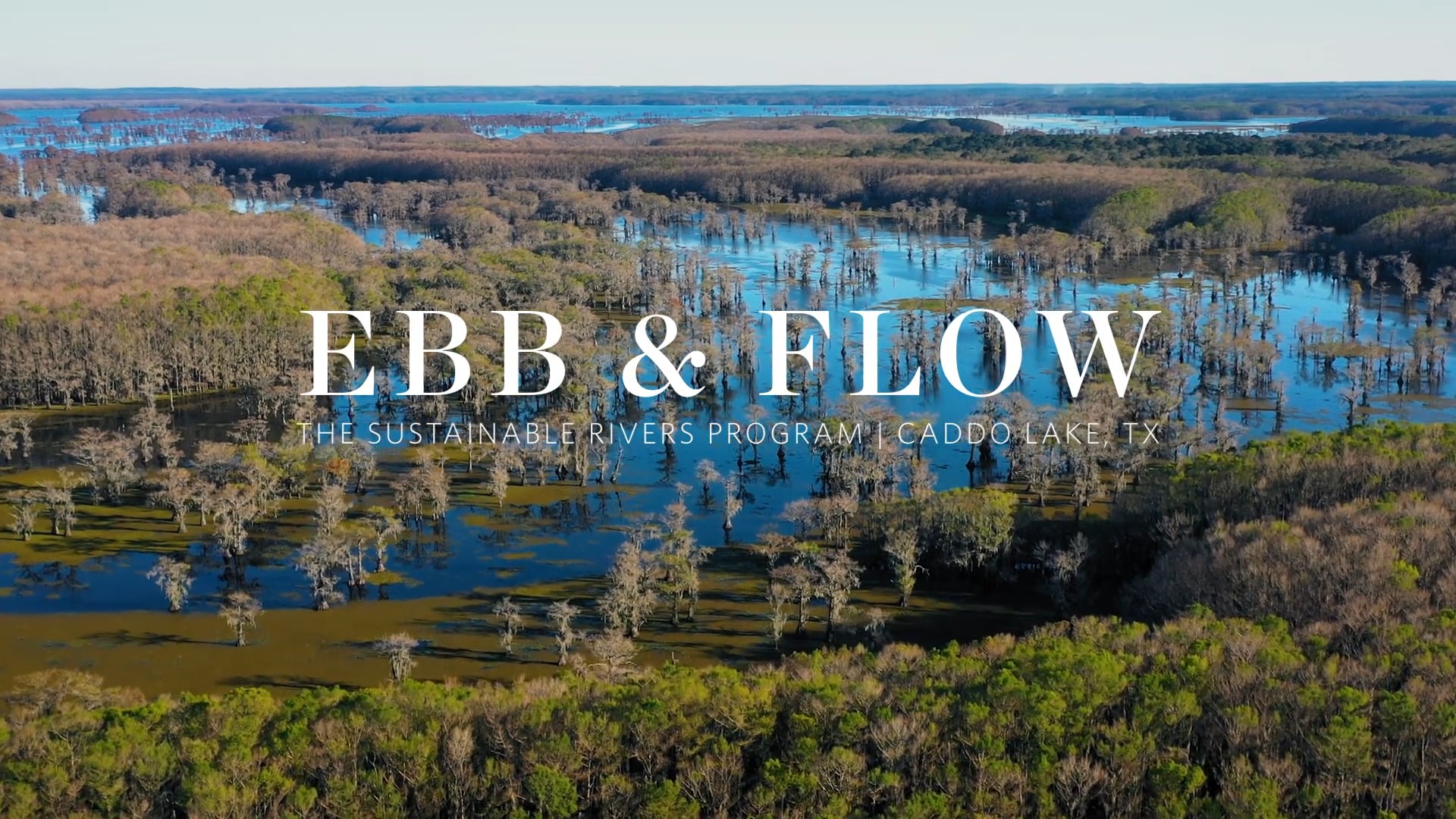 Ebb & Flow | The Sustainable Rivers Program | Caddo Lake, TX