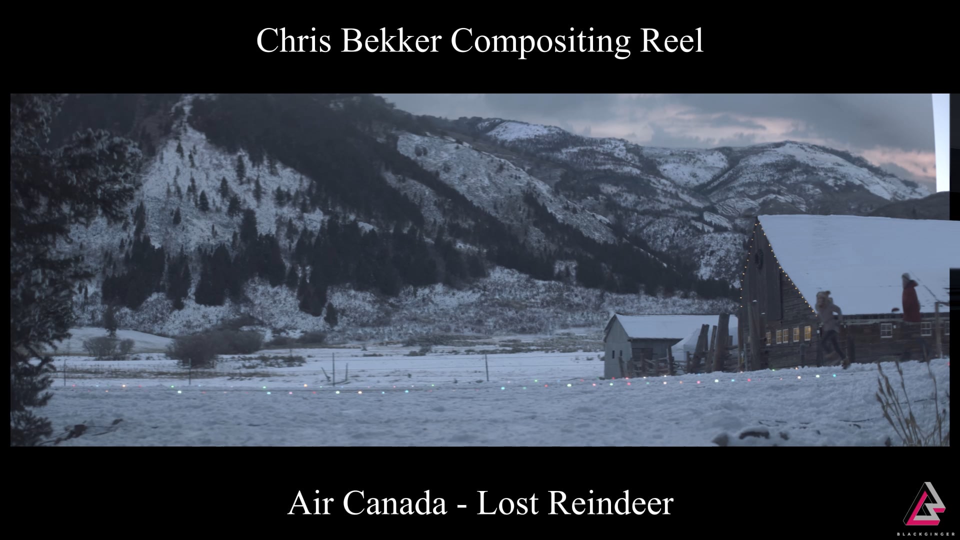 Commercial Reels