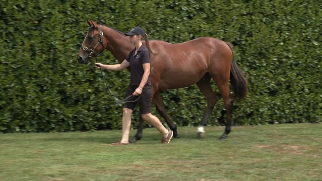 Lot 368