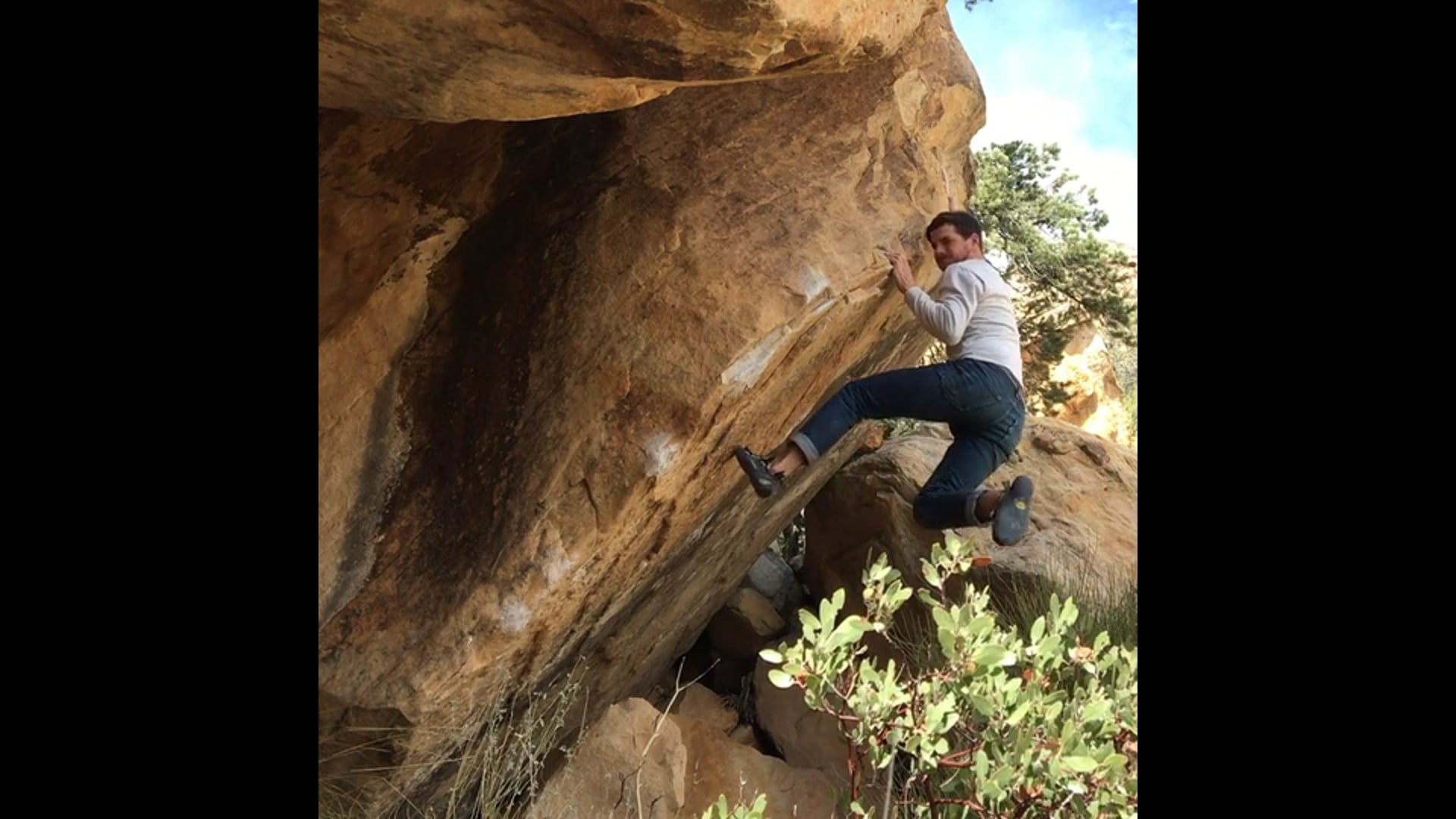 Supple Leopard (V7) FA