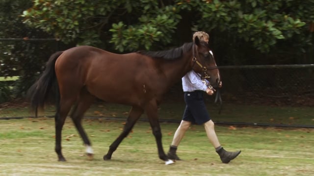 Lot 821