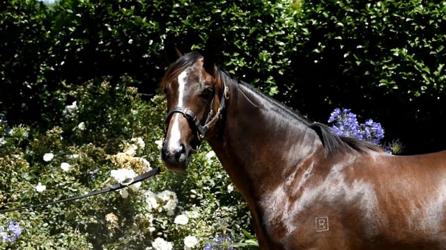 Lot 32