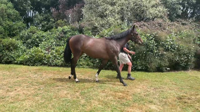 Lot 900