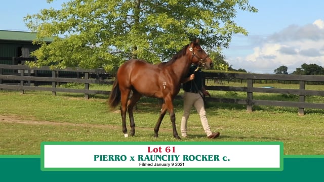 Lot 61