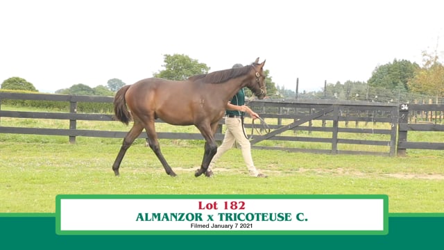 Lot 182