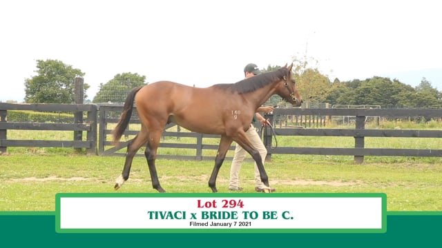 Lot 294