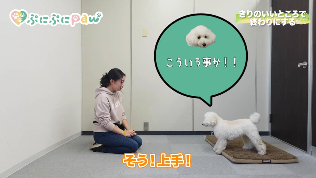 愛犬のしつけに最適 クリッカーの使い方を解説 犬を育てる ぷにぷにpaw ポー