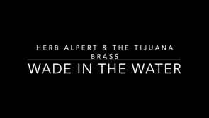 Wade In The Water1