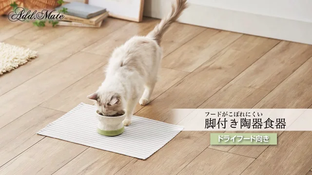 ADD.MATE｜フードがこぼれにくい脚付き陶器食器 for CAT