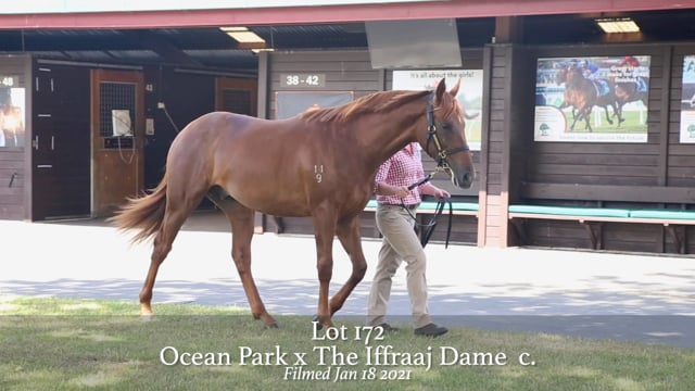 Lot 172