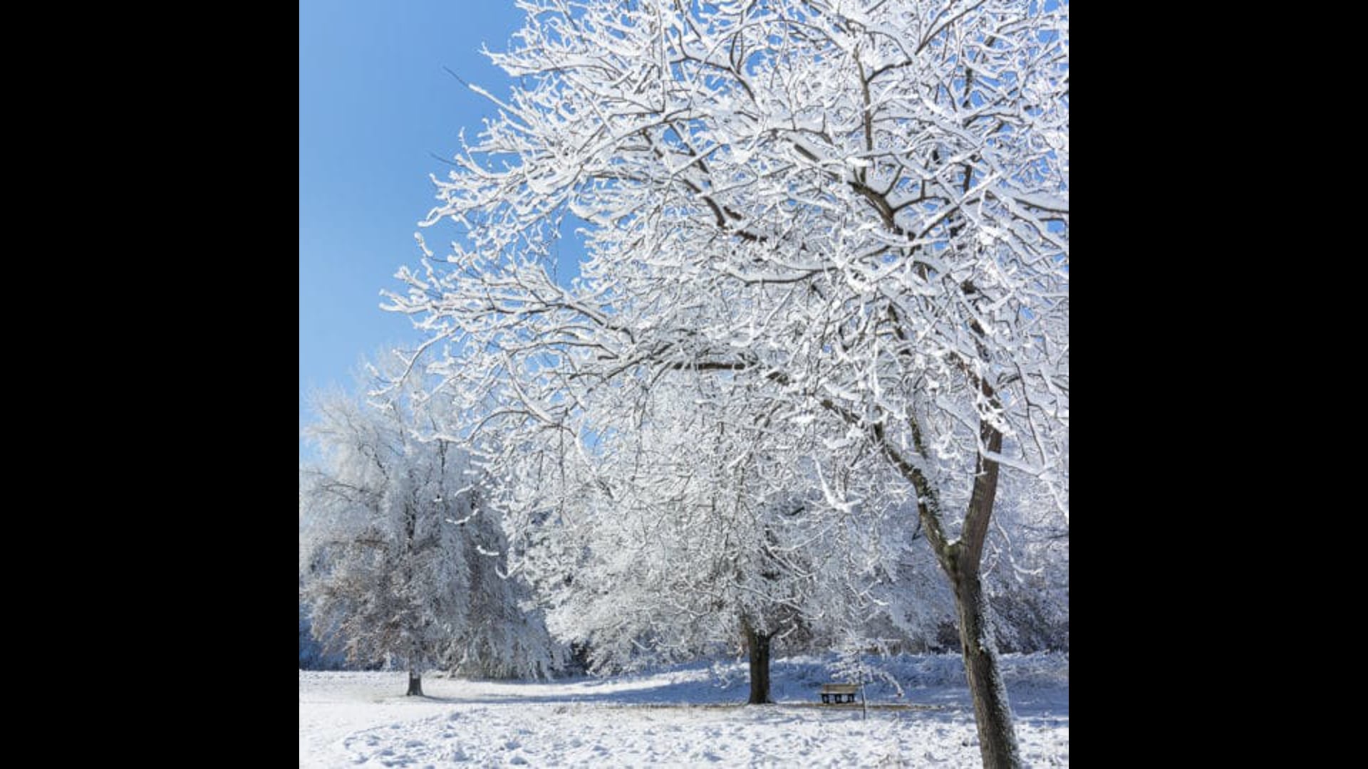 2021 January 14 : Cultivating Safety and Well Being